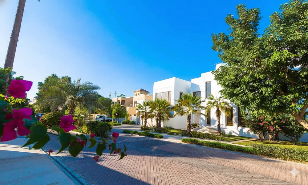 خیابان البراری دبی